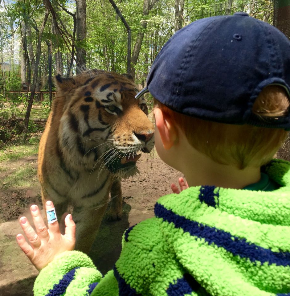 john ball zoo membership