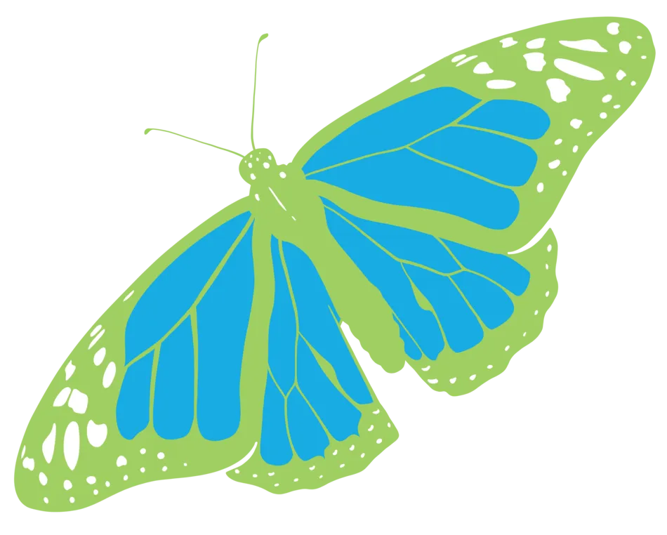 Green And Blue Butterfly