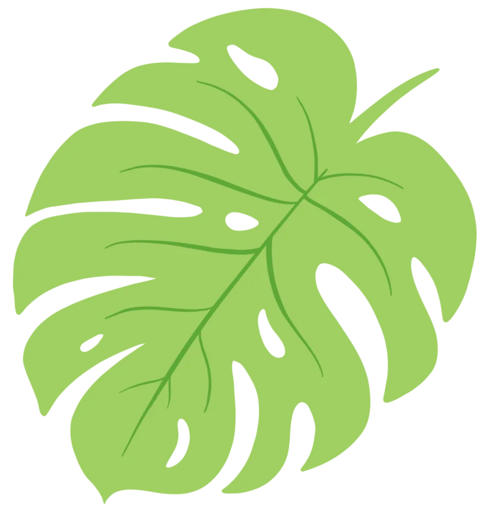 Grean Palm Leaf