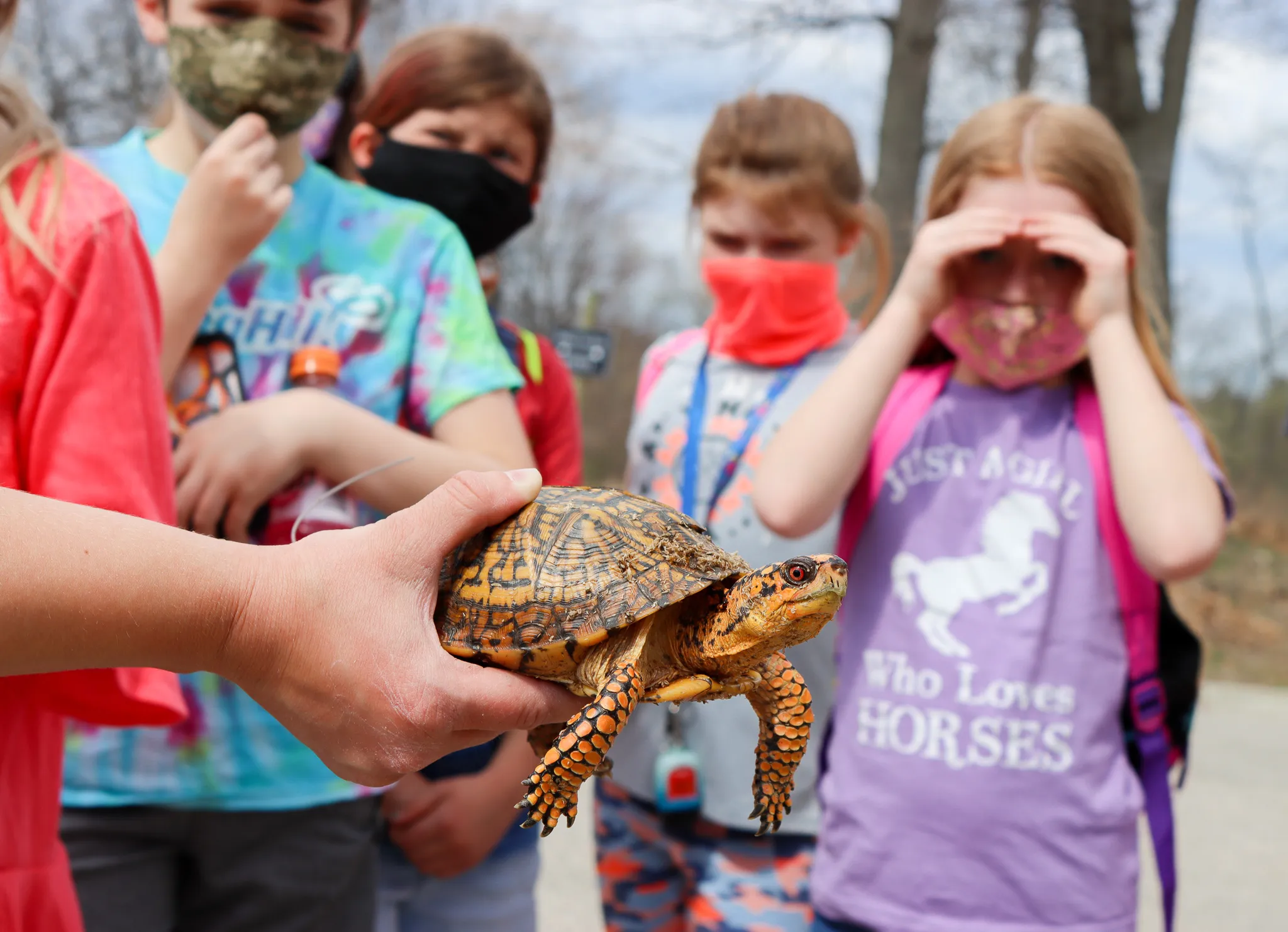 zoo presentation school