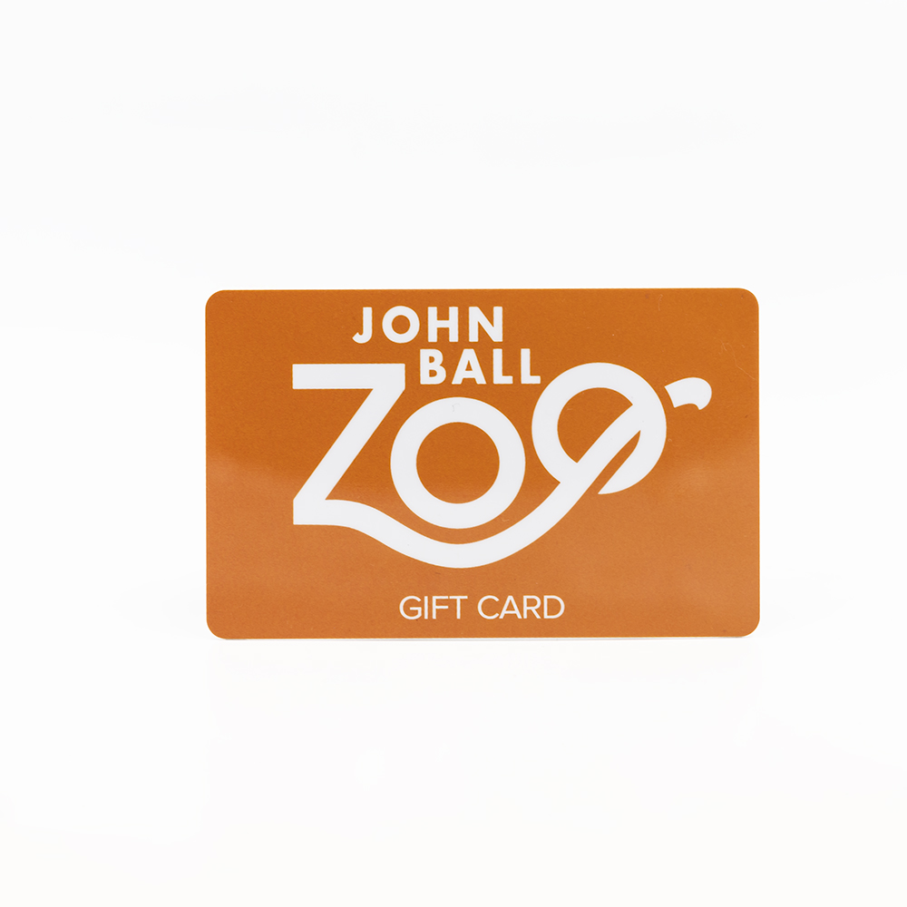 Gift Card - $25